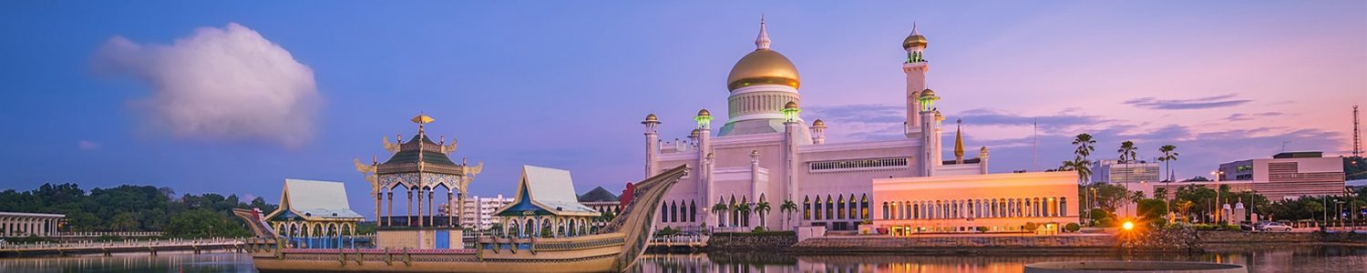 Обучение в Государстве Бруней-Даруссалам в 2021/2022 уч. г.